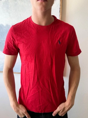 Aldrig använd Ralph lauren t shirt  - Storlek L