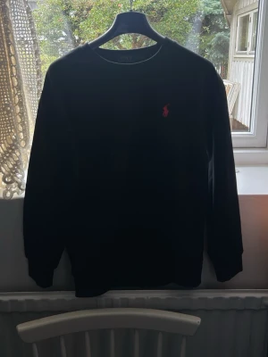 Polo Ralph lauren tröja - En ralph lauren tröja i nytt skick men som inte passar mig längre. Strl S men passar XS. 