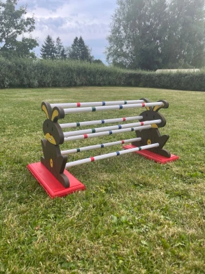 Kaninhinder  - Kaninhinder med 7 bommar. Allt är helt förutom en bom som är lite sprucken men inget som förstör användningen. Går att använda precis som vanligt. Mått: 77*33*34 cm. Hämtas helst. Är ganska stora så svårt att skicka men går. 