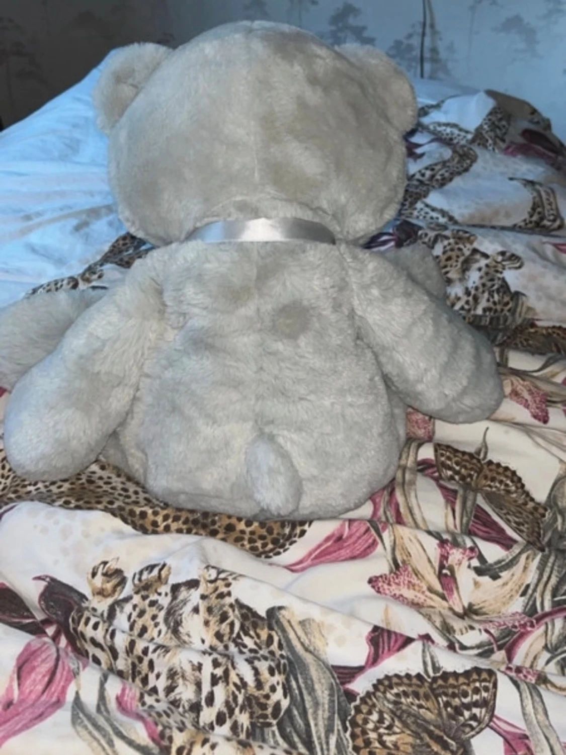 Teddy Björn grå - 1