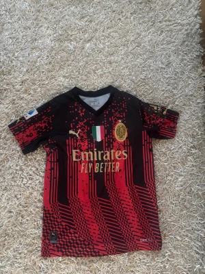 AC Milan matchtröja Ibrahimović #11 - Snygg AC Milan matchtröja från Puma med Ibrahimović och nummer 11 på ryggen. Tröjan är svart och röd med digitalt mönster, guldiga detaljer och klubbmärke på bröstet. Perfekt för fotbollsfans som vill sticka ut på läktaren eller planen.