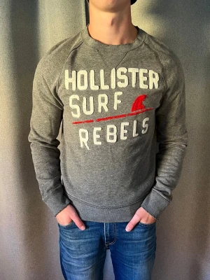 Hollister Crewneck  - Säljes LIVE den 6/9 18:00! | Säljer en Hollister crewneck! | Mycket fint skick utan defekter! | Storlek S. | Ställ gärna frågor innan du köper!