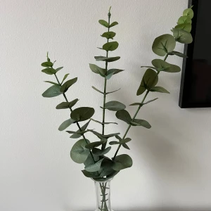  Eucalyptuskvistar  - Tre stycken eucalyptuskvistar, säljes tillsammans! Längsta kvisten ungefär 50cm lång. OBS, säljes utan vasen!