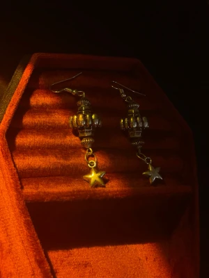 Unika örhängen - Unika örhängen som passar till allt och alla! Handgjorda av mig så du är garanterat den ända med dessa örhängen