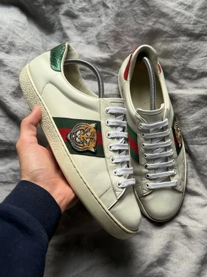 Gucci ace - Bra skick