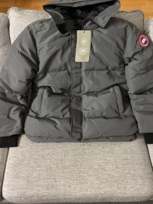 Grå dunjacka från Canada Goose XL - Säljer en grå dunjacka från Canada Goose Macmillan Parka i storlek XL. Jackan har huva, två stora fickor framtill och klassisk logotyp på ärmen. Stängs med dragkedja. Perfekt för kalla dagar. Passar både Xl samt L. Rekommenderar till folk som har storlek L. Den har orginala påsen med (som ni ser på bilden) samt att den aldrig har använts. Helt ny!