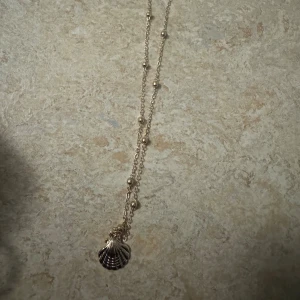 Halsband - Bilden visar inte någon väst, utan ett halsband med snäckberlock.