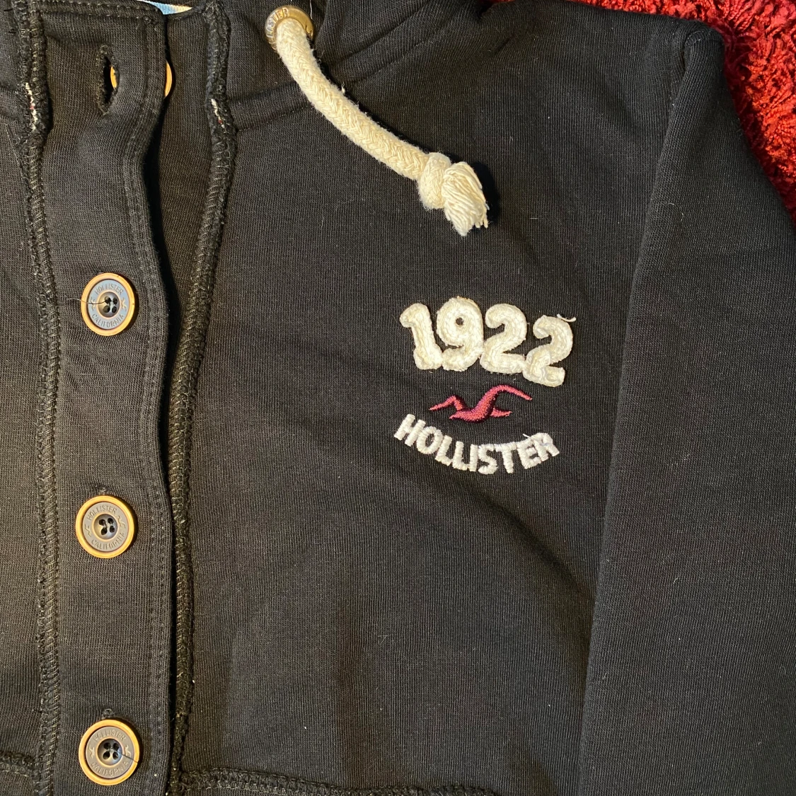 Hollister fur hoodie - 2