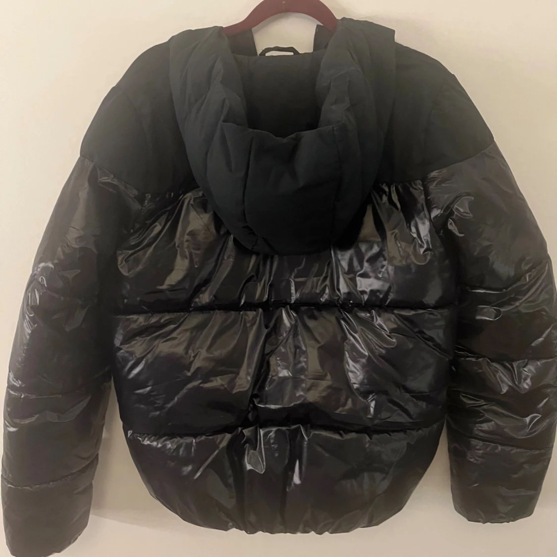 Glansig dunjacka  - 1