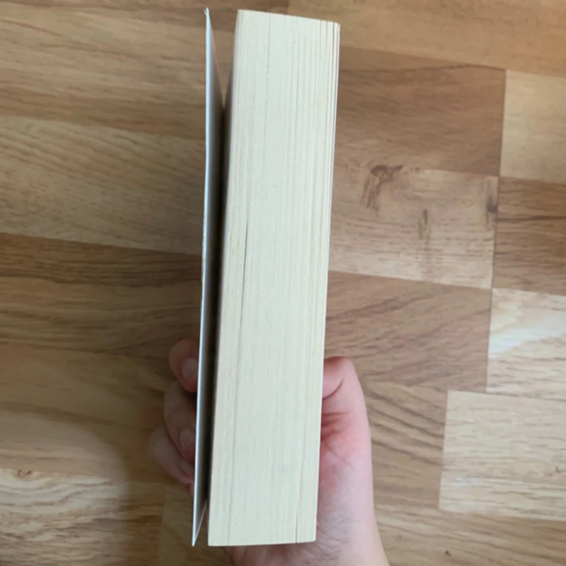 De sju morden på Evelyn Hardcastle - 2