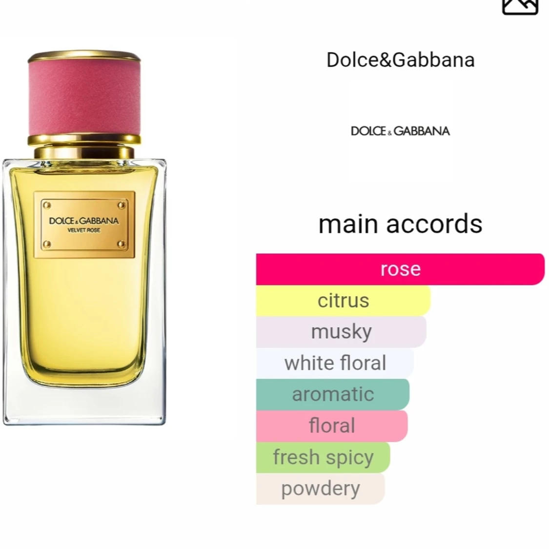 Dolce & Gabbana Velvet Rose Perfume - 4