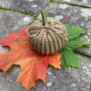 Handvirkad pumpa. - Pumpa virkad i växtfärgad ull.