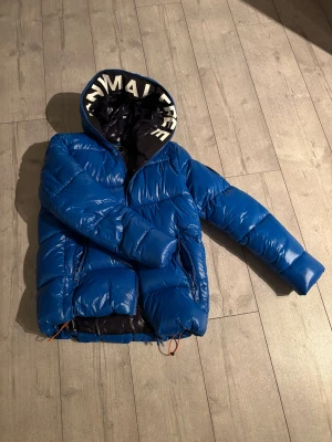 Blå pufferjacka från Save The Duck - Säljer en blå pufferjacka från Save The Duck med huva och coolt tryck på insidan som säger '100% Animal Free'. Jackan har dragkedja, två fickor med zip och ett svart märke på ärmen. Perfekt för dig som vill ha en schysst och djurvänlig vinterjacka. Nypris 3999kr, kan gå ner i pris vid snabb affär!