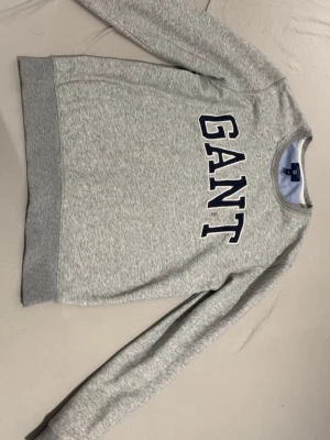 GANT Sweatshirt  - Grå Gant sweatshirt i storlek M