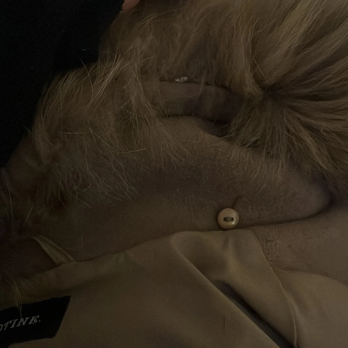 Meotine Charlie jacket - 2