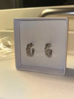 silvriga örhängen - silvriga örhängen med diamanter