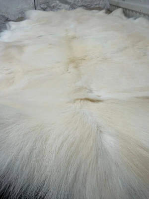 Stort vitt renskinn - Säljer ett stort och fluffigt renskinn i naturligt vit färg. Pälsen är mjuk och tät, perfekt som inredningsdetalj på golvet eller över en stol. Skinnet har en naturlig form och ger en mysig känsla till rummet. Oanvänt från Jokkmokk, nytt och oanvänt. Skaka bara mellan varven.
