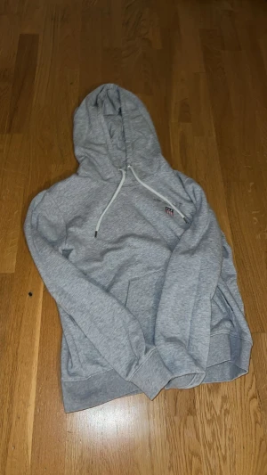 Grå hoodie från GANT med broderi - Snygg grå hoodie från GANT med broderad logga och amerikanskt inspirerat emblem på bröstet. Tröjan har huva med vita snören, ribbade muddar och klassisk passform. Perfekt för chill dagar och enkel att matcha med jeans eller joggers.