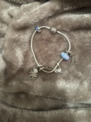 Pandora armband  - Pandora armband med tillhörande berlocker🤍