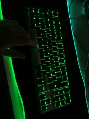 Xtrfy mekaniskt tangentbord - Mekaniskt tangentbord från Xtrfy med grön bakgrundsbelysning. Kan behöva en avtorking då den legat i en låda en stund . Perfekt för gaming eller kontorsbruk.