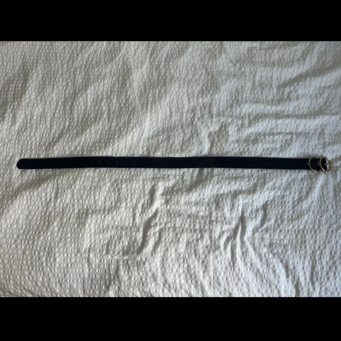 Svart krokodilmönstrat bälte - 2