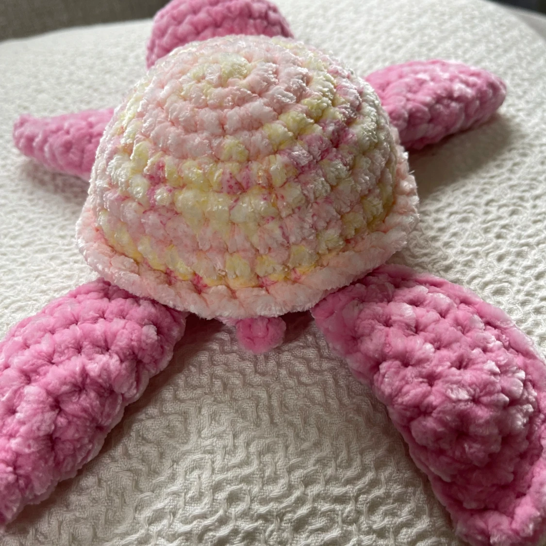 Virkad sköldpadda  - 2