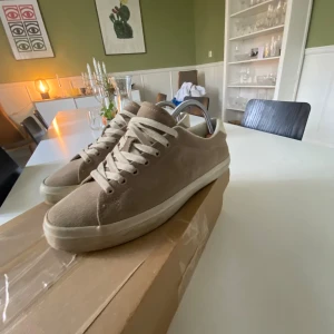 Beige sneakers från Polo Ralph Lauren - Beige sneakers från Polo Ralph Lauren i mocka med klassisk låg profil och vit sula. Skorna har rund tå, platt sula och snörning framtill. Diskret Polo-logga på sidan och stilrena detaljer som passar till många outfits.