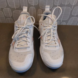 Inomhusskor Mizuno Luminous Wave 2 sneakers  - Inomhusskor Mizuno med ljusrosa logga på sidan och detaljer vid snörningen. Skorna har en sportig design med rund tå, platt sula och ventilerande meshmaterial. Mizuno Wave Luminous 2 i strl. 41 i mycket bra skick. Kommer från ett djur och rökfritt hem.  