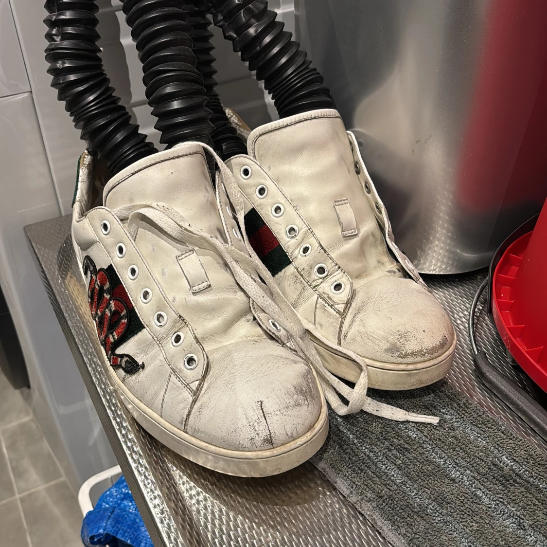 Gucci Ace sneakers med orm brodyr - 1