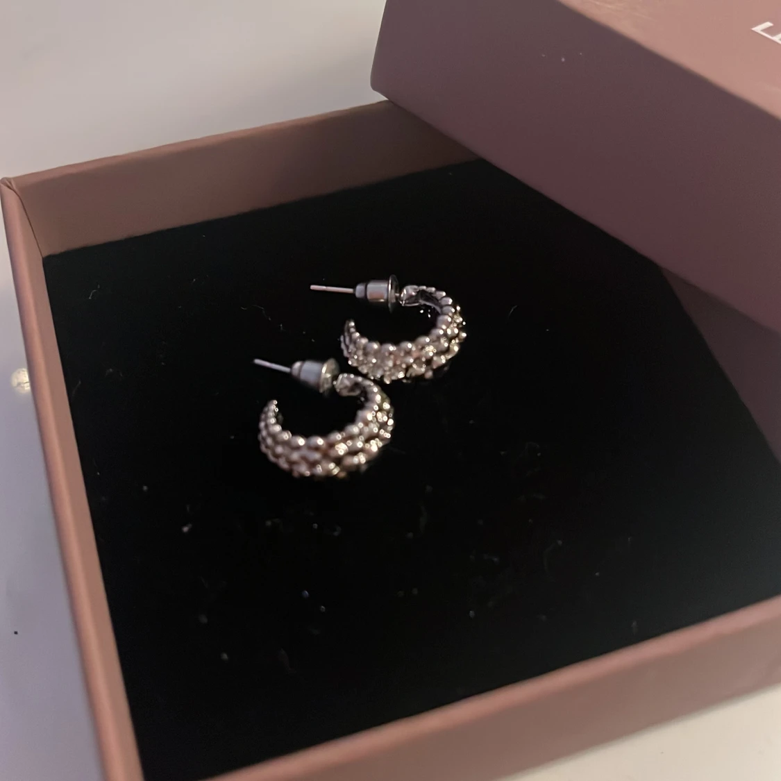 Silvriga örhängen  - 1