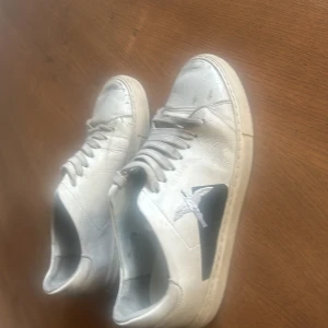 Vit sneaker från Axel Arigato - Snygga vita sneakers från Axel Arigato med svart detalj och broderad fågel på sidan. Skorna har klassisk rund tå, snörning och platt sula. Tillverkade i skinn för en clean och stilren look som passar till det mesta.