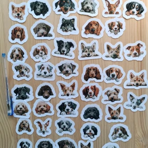 44 st Söta hundar – klistermärken  - 44 st  klistermärken  fylld med massor av söta och roliga hundmotiv! Perfekt för dig som älskar hundar och vill dekorera dina prylar, anteckningsböcker eller ge bort till en vän. Passar både ungdomar och unga vuxna som vill sätta lite extra hundglädje på vardagen.