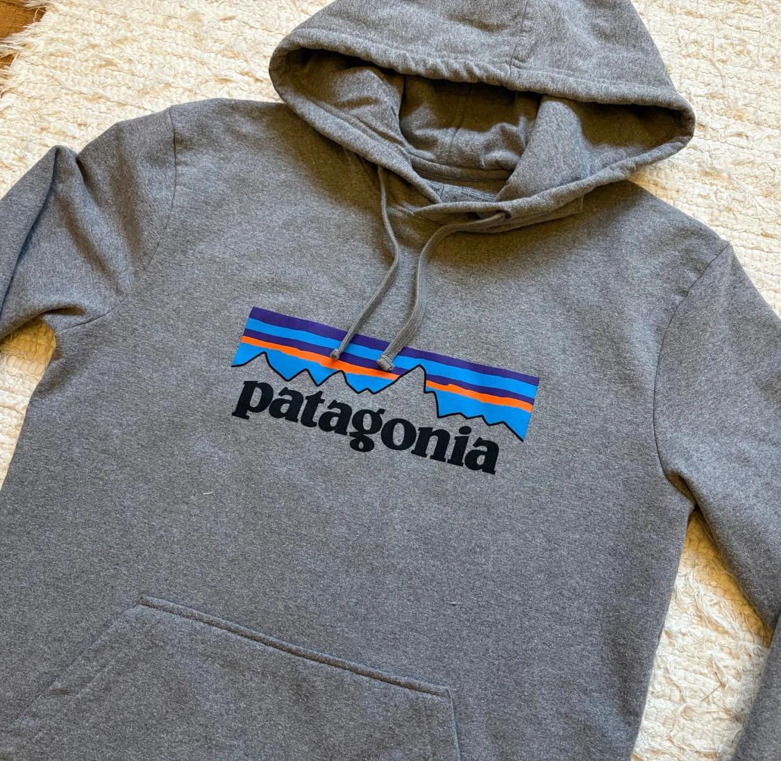 Grå Patagonia Hoodie