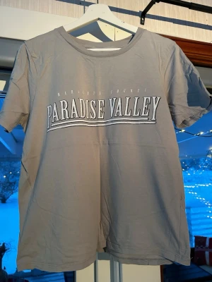 Grå t-shirt strl. M - Grå t-shirt med paradise valley tryck. Klassisk rund halsringning och korta ärmar. Bra skick förutom att trycket har fått sprickor. Var redan ”sprickor” när jag köpte den, andra bilden tagen från nätet för att visa hur den har sett ut i början.