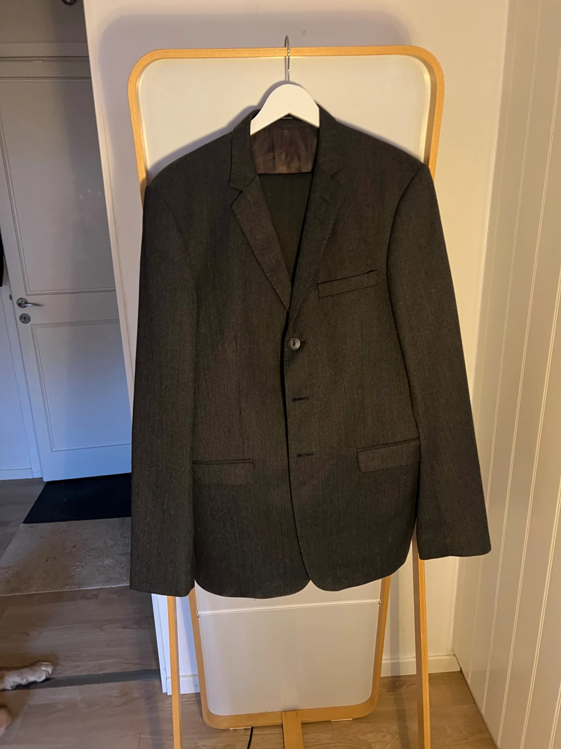 Kavaj Tiger of Sweden