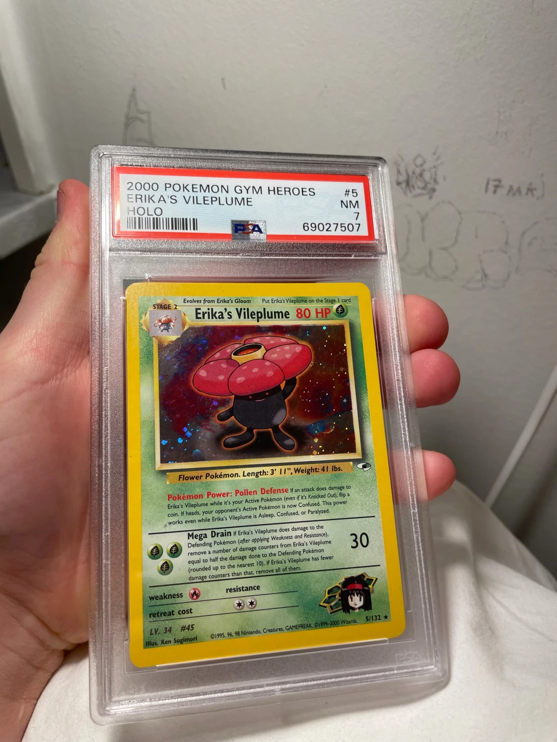 Garded Pokémon kort - 1