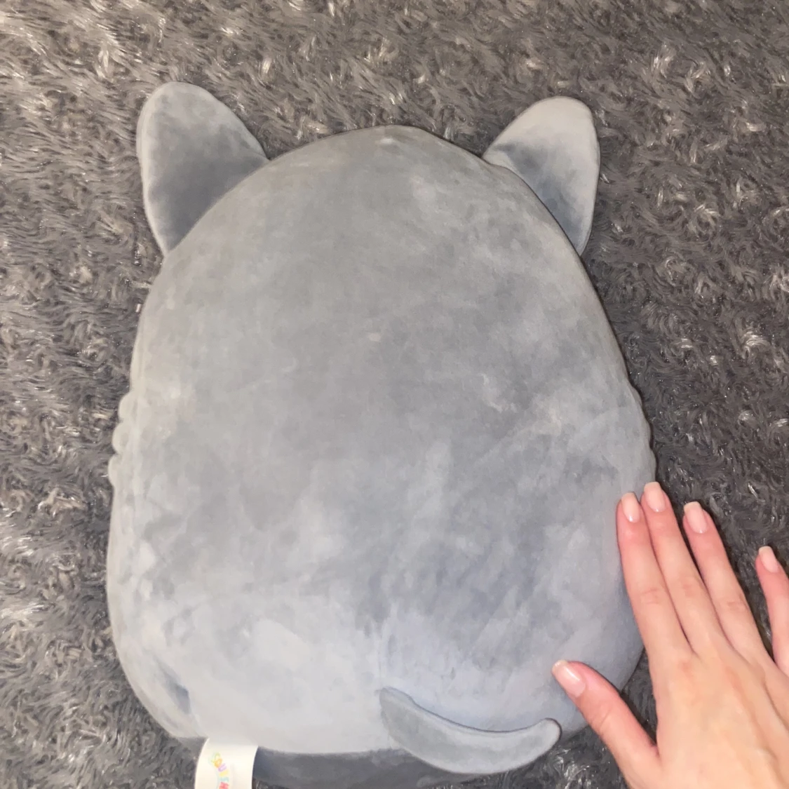 Squishmellow katt  - 1