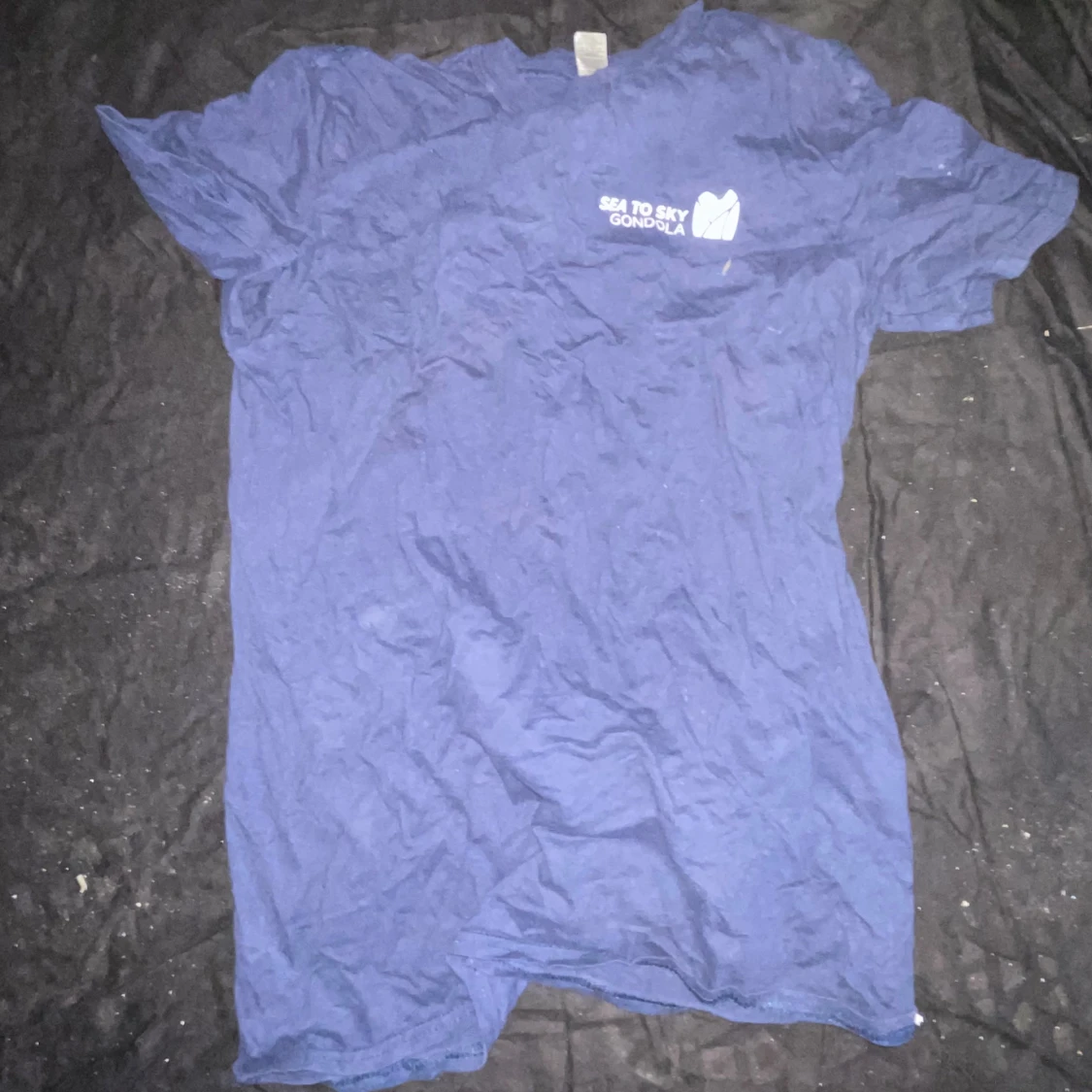 Blå Sea to Sky Gondola t-shirt Gildan