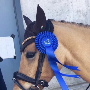 Huva equiline  - Passar ponny allt från B-D eller liten häst!