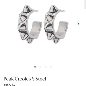 Edblad örhängen - Tänkte göra intresse koll på dessa Edblad örhängen. Inte rostiga eller något sådant och sparsamt använda, använd ej köp nu