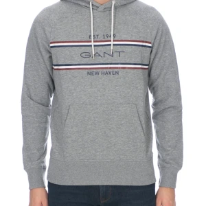 Stripe Sweat Hoodie Grey Melange - Hoodien säljer i befintligt skick ser bild 3. 