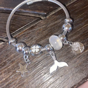 Fler Pandora  - Fejk Pandora armban❤️❤️pris är inte fast