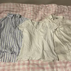 2 skjortor och en t-shirt. Skjortan till höger i xs och de andra två i m.
