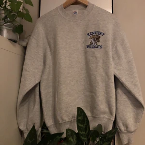 Vintage sweatshirt  - En riktigt fet vintage sweatshirt som är i bra skick! Den har snygg logga på framsidan och coolt och annorlunda tryck på baksidan! Står storlek M men skulle säga S/XS