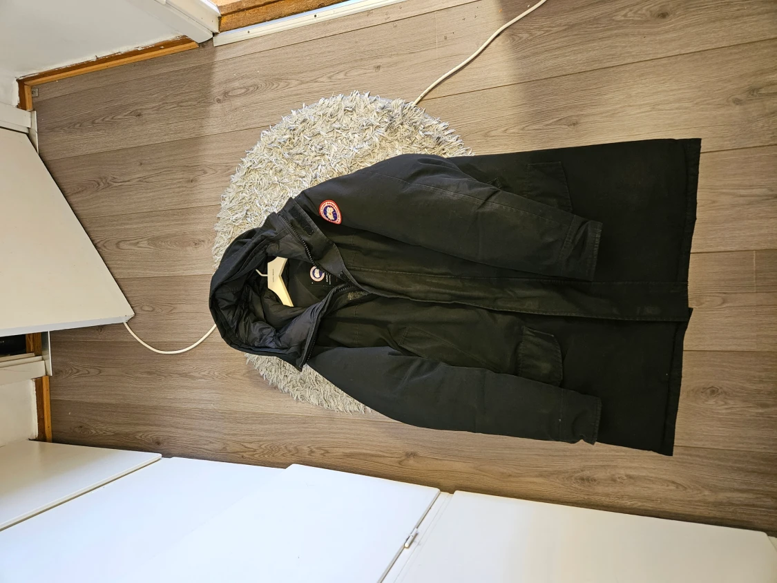 Canada goose  - 90