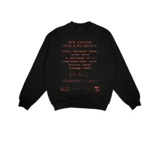 Säljer min sweatshirt från the 5th anniversary av my dear melancholy kollektionen som inte säljs längre💕 Skriv privat för fler bilder 🫶🏼