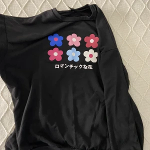 Sweatshirt  - Söt oversized sweatshirt, använt några gånger men indiskt skick! 