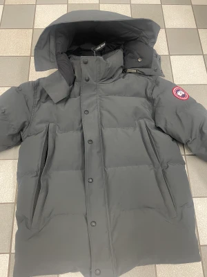 Äkta/Autenthic Grey Canada Goose Red Label - En Canada Goose jacka i mycket fin och ny skick för salu. Vid intresse och mer information om jackan så skriver ni i dm. Pss! Pris kan sänkas vid snabb affär och päls kommer även med.