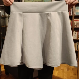 Ljusgrå kort kjol  - Kjol med dragkedja i midjan, aldrig använd. Ca 45 cm lång. Midjemått ca 80cm.