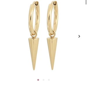 Edblad örhängen - Hej, säljer mina guld örhängen från Edblad då dom inte används. Använda typ 2 gånger så dom är i nyskick. Skriv för egna bilder💗 Nypris 400kr